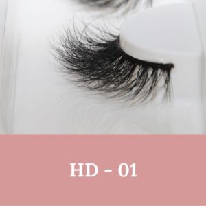 HD-01